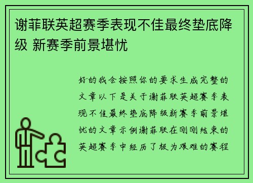 谢菲联英超赛季表现不佳最终垫底降级 新赛季前景堪忧